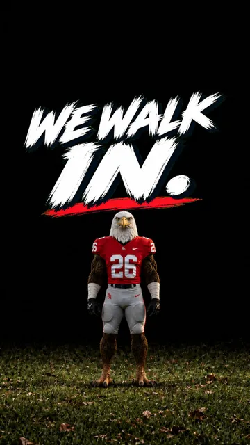 We Walk In cover